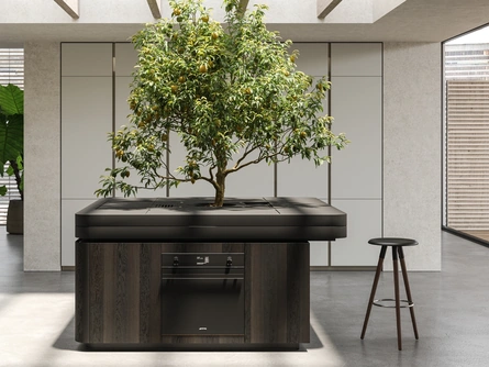 Cucina Design a isola di forma quadrata Oasi in Rovere fossile di Aran